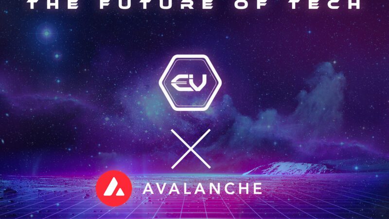 Avalanche Chain: Revolutionizing Blockchain Technology with Earniverse’s Metaverse and Marketplace